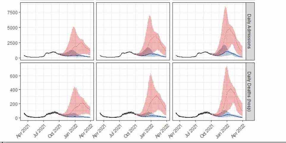 These charts show the predicted impacts of increased social mixing on daily admissions due to Covid (top) and daily deaths from Covid (bottom). Left to right, the three different scenarios represent different levels of increased social mixing from 1 December, left is 120 per cent, middle is 130 per cent and right is 140 per cent. The red area indicates pessimistic estimates impact of the booster campaign and the blue area the optimistic. The charts show the more that the greater level social mixing occurs, the more Covid hospitalisations and deaths occur in later months