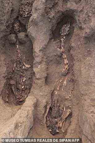 Neben den menschlichen Überresten entdeckte das Team Kameliden und Meerschweinchen mit Anzeichen von Opferpraktiken