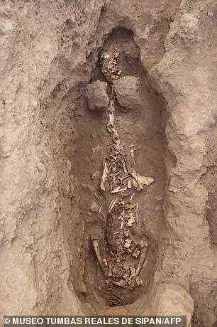 Der Archäologe Edgar Bracamonte Levano, der auch für das Royal Tombs of Sipan Museum verantwortlich ist, sagte, dies sei eine bedeutende Entdeckung