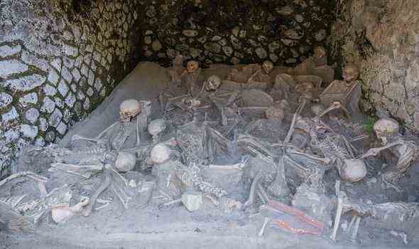 Herculaneum-Skelette
