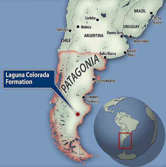 Auf einem Dinosaurierfriedhof in der Formation Laguna Colorada in Patagonien, Argentinien, wurden mehr als 100 Eier mit Embryoresten ausgegraben, die den weltweit ersten Beweis für Herdenverhalten liefern