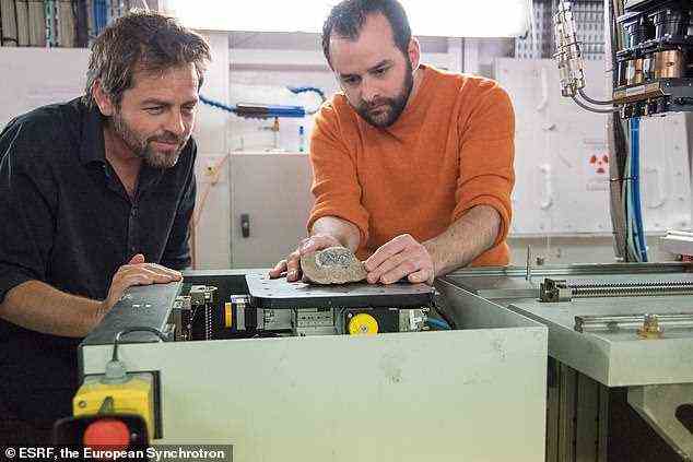 Die Wissenschaftler Diego Pol und Vincent Fernandez während der Bildgebungsexperimente der Mussaurus-patagonicus-Eier am ESRF, dem Europäischen Synchrotron, Frankreich