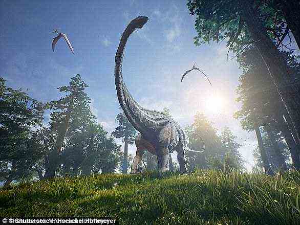 Sauropoden waren die erste erfolgreiche Gruppe pflanzenfressender Dinosaurier und dominierten die meisten terrestrischen Ökosysteme seit mehr als 140 Millionen Jahren, von der späten Trias bis zur späten Kreide