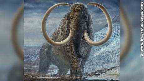 Mammuts waren die ursprünglichen "Eisstraßen-Trucker"  weite Strecken durch die Arktis zurücklegen