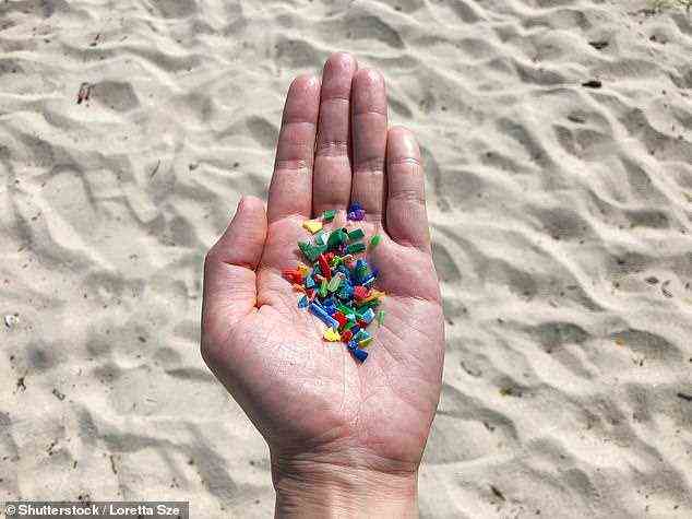 Mikroplastik ist 5 mm lang (Linsengröße) oder weniger und entsteht, wenn Plastik in winzige Partikel zerfällt