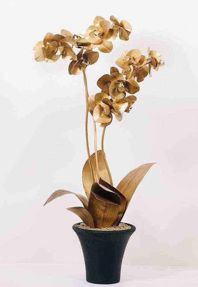 Jenny sagte, dass eingemachte vergoldete Orchideen (im Bild) detailliert genug sind, um echt auszusehen, aber die echte Sache ist viel billiger
