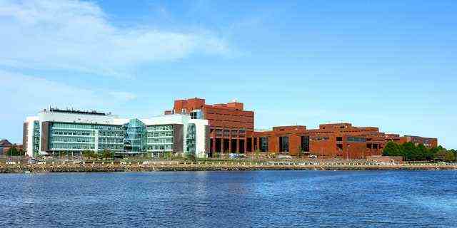 Boston, Massachusetts, USA - 21. Mai 2017: Tagesansicht des Campus der University of Massachusetts Boston entlang des Boston Harborwalk