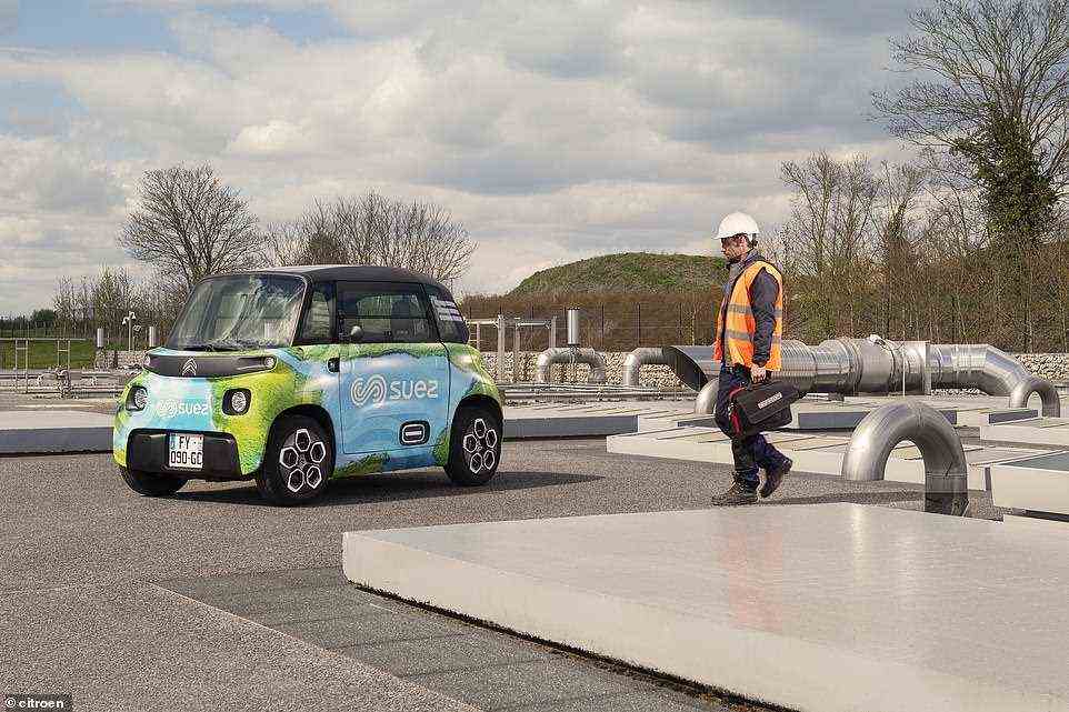 The French car maker suggests the Ami Cargo could work for businesses such as florists, pharmacies, electronics stores and for those in the construction industry or for energy providers to check metre readings