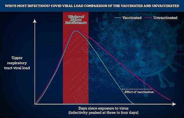 The study found there was almost no difference in the Covid Delta variant viral load between the jabbed and unjabbed with both experiencing peak infectiousness, when they are most likely to pass the virus on to other people, three to four days after catching the virus. Where vaccination made a difference was after the peak with the jabbed able to better fight off the virus and recover quicker, with less severe symptoms.