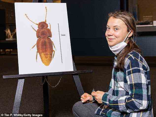 Frau Thunberg mit einem vergrößerten Bild des winzigen Käfers, der ihr zu Ehren Nelloptodes gretae benannt wurde, am 29. Oktober im Naturhistorischen Museum