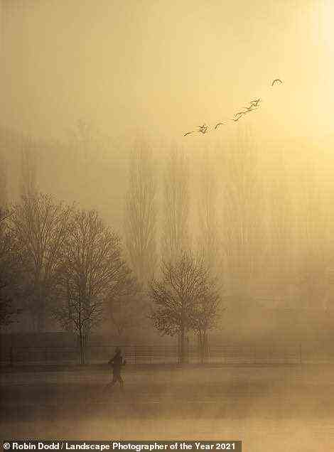 A spectacular misty shot this time captured by Robin Dodd. His image wins first place in the Your View category and shows a runner in the dawn mist jogging along the towpath near Henley On Thames, Oxfordshire. 'My nightly routine is to check my apps for morning mist or fog down by the river. I will take the camera down there before dawn if the conditions look right,' Dodd explains. Describing these misty conditions as a 'stunning light show', the photographer says he likes to set up his camera opposite the towpath and start shooting 'as the mist and sun play out their show'. Dodd adds: 'Rowers, runner, cyclists, dog walkers - there are endless combinations to play with when it's time to go home for breakfast'