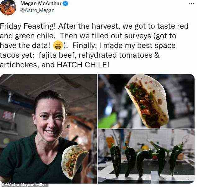 Die NASA-Astronautin Megan McArthur, die seit April auf der ISS ist, twitterte, dass nach dem Pflücken der Chilischoten sowohl Daten als auch Abendessen serviert wurden