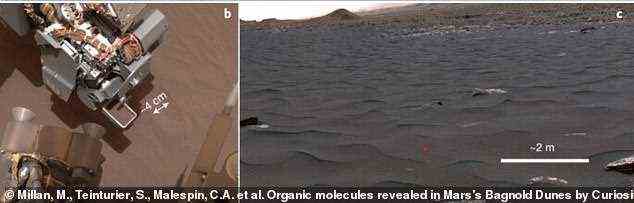 Curiosity sammelte Bodenproben aus der Bagnold Dune, einer 35 Kilometer langen Gruppe grauer Dünen in Gale, als der Bohrer nicht mehr funktionierte.  Um die Proben nicht zu verschwenden, haben Millan und ihre Kollegen sie umgeleitet