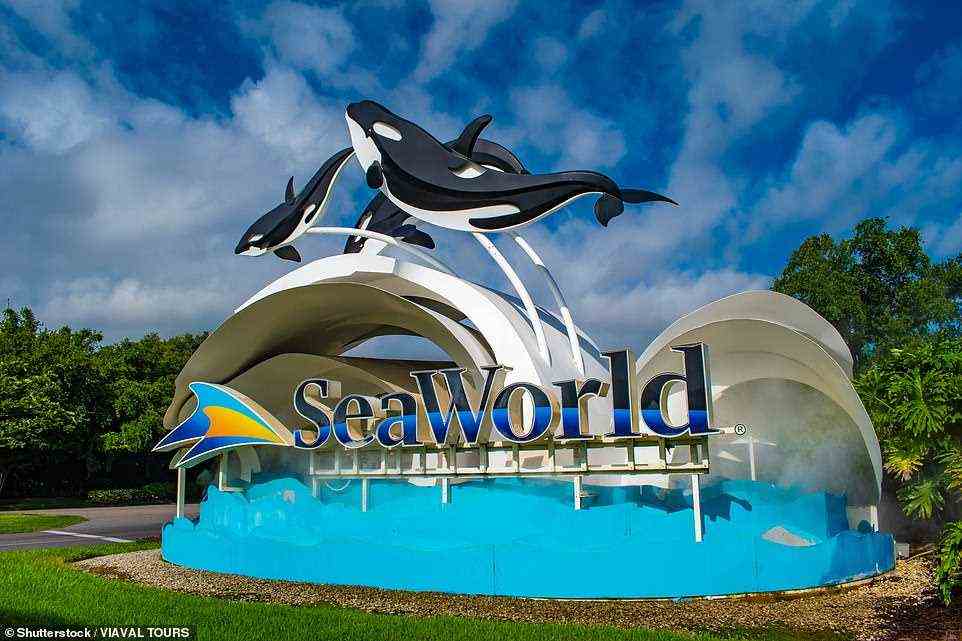 Abgebildet ist das SeaWorld-Schild in Orlando mit Cartoon-Orcas, die über dem Schriftzug schwimmen.  Orcas waren in der Vergangenheit Ikonen von SeaWorld, aber die gefangenen Kreaturen standen im Mittelpunkt von Kampagnen gegen die Themenparkkette