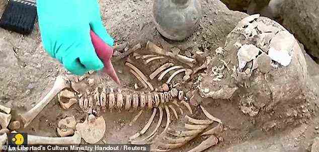 Die Überreste wurden auf einem kleinen Raum mit einer Größe von nur 107 Quadratfuß entdeckt, der ungefähr 3 Meter lang und 3 Meter breit ist und sich in der ehemaligen Hauptstadt des Chimú-Reiches befindet, das im 15.