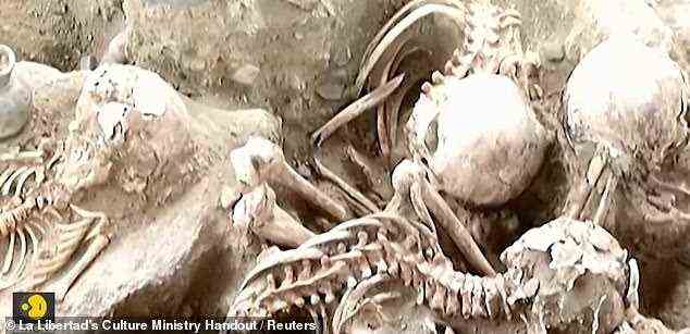 Der Archäologe Jorge Menese sagte Reuters, dass, obwohl diese alte Gesellschaft für Menschenopfer bekannt ist, es an der Stätte, die Skelette von Männern, Frauen und Kindern enthält, keine Beweise dafür gibt