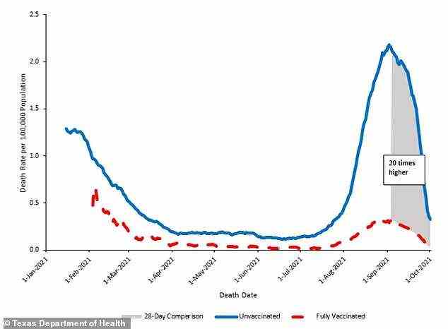 Die Forscher fanden auch heraus, dass ungeimpfte Texaner (blaue Linie) 20-mal häufiger an Covid starben als Menschen, die den Impfstoff (gepunktete rote Linie) während des durch die Delta-Variante angetriebenen Covid-Sommeranstiegs erhalten hatten