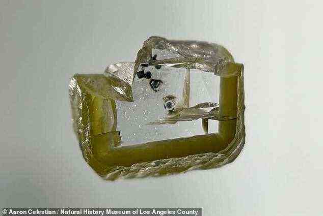 Experten der University of Nevada verwendeten Synchrotron-Röntgenbeugung am Diamanten (im Bild), um die kristalline Verbindung zu charakterisieren, die sie 