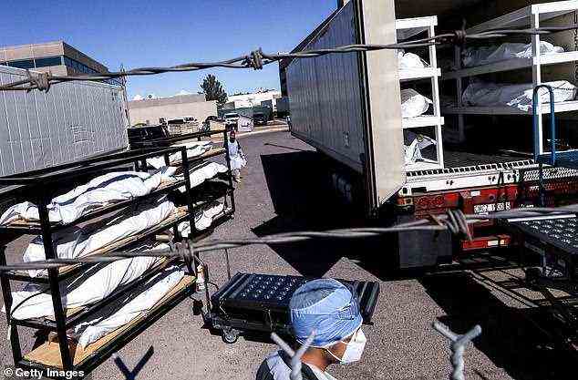DailyMail.com looked at Covid deaths from 40 counties in the four most populous states: California, Florida, New York and Texas. Pictured: An inmate from El Paso County detention facility prepares to load bodies into a refrigerated temporary morgue trailer in El Paso, Texas, November 2020