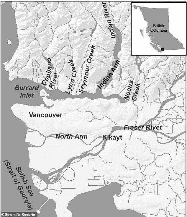 der Tsleil-Waututh fischte in den Untiefen des Burrard Inlet (oben) vor Vancouver Island