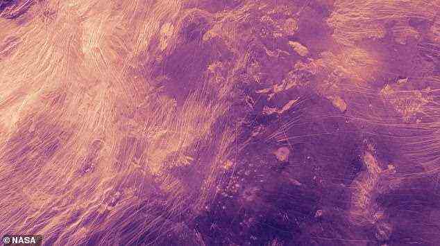 Die Oberfläche von Eierschalenplaneten könnte dem Tiefland der Venus ähneln (hier in einem Falschfarben-Radarbildmosaik abgebildet).  Die helleren, feinen Pfirsichlinien sind tektonische Strukturen und die dunkleren, violetten Bereiche sind relativ glatte vulkanische Ebenen.  Einige kleine Vulkane erscheinen nahe der unteren Mitte.  Dieses Bild wurde mit Radardaten der NASA-Mission Magellan erstellt, die zwischen 1990 und 1994 operierte, und zeigt ein Gebiet von etwa 1.400 km (870 Meilen) im Durchmesser