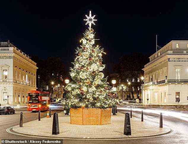 Der zweite Platz in der Umfrage geht an die „Vorfreude auf Weihnachten“.  Abgebildet ist ein Weihnachtsbaum am Waterloo Place in London
