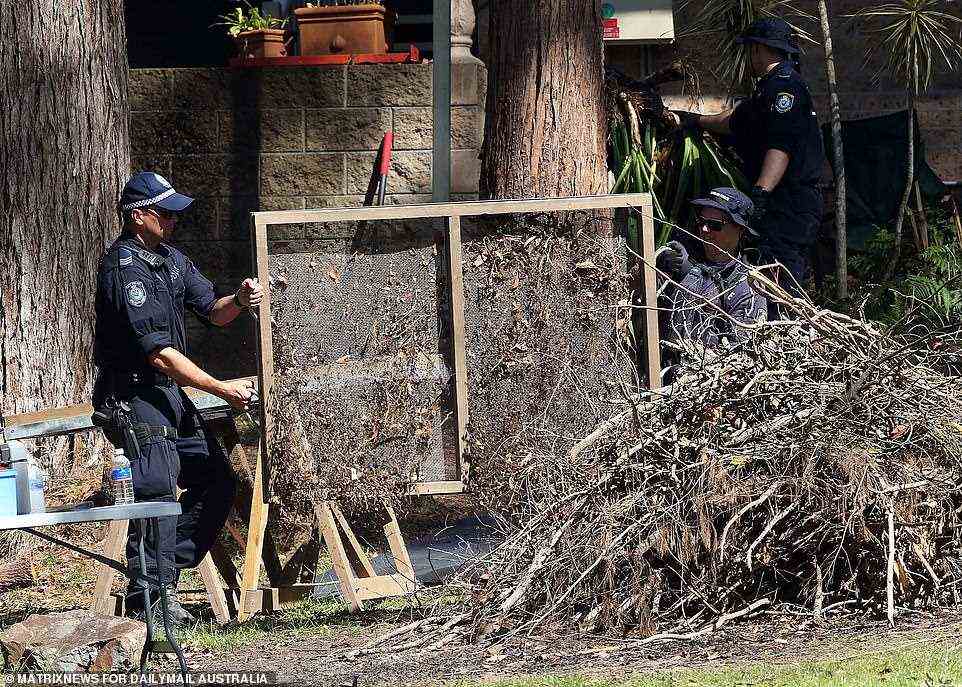 NSW police officers use a sieve to sort through dirt and rubble on the front lawn during a fresh search of the house where William Tyrrell disappeared in 2014