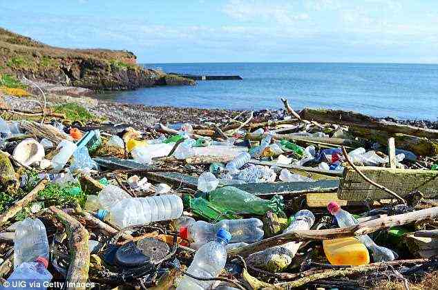 Es wird geschätzt, dass jedes Jahr etwa acht Millionen Tonnen Plastik in die Weltmeere gelangen