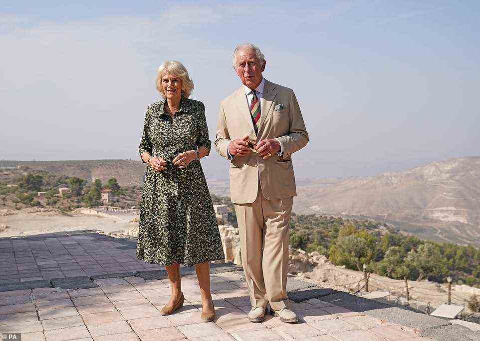 Quite a view: The British royals looked to enjoying their second day, stopping to take in the spectacular views across Umm Qais