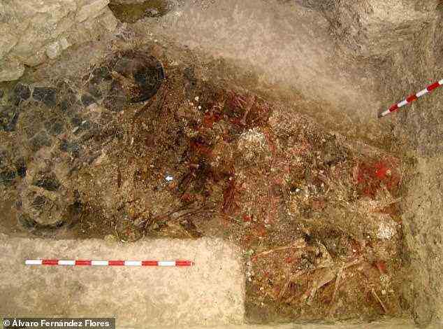 Die Knochen, die in Spanien und Portugal entdeckt wurden, stammen von 370 Personen, die während des späten Neolithikums und der Kupferzeit lebten, wobei die höchsten Quecksilberwerte unter denen gefunden wurden, die zu Beginn dieser Zeit lebten – zwischen 2900 und 2600 v.  Das Bild zeigt Skelette in einem alten Grab