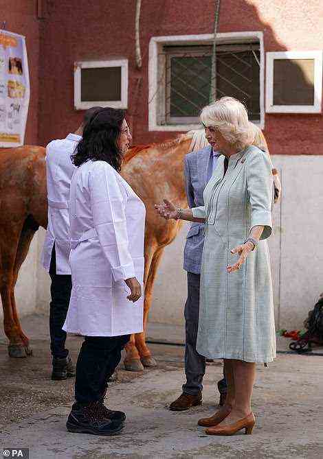 The Duchess of Cornwall (pictured) meets the animals during a visit to Brooke Veterinary Hospital
