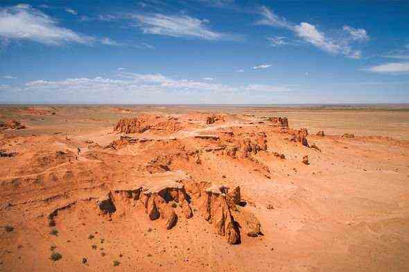 Wüste Gobi: In der Wüste Gobi in der Mongolei wurden viele versteinerte Überreste gefunden