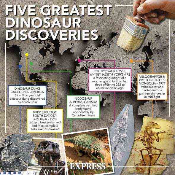 Dinosaurier-Entdeckungen: Einige der bedeutendsten Entdeckungen in der Geschichte
