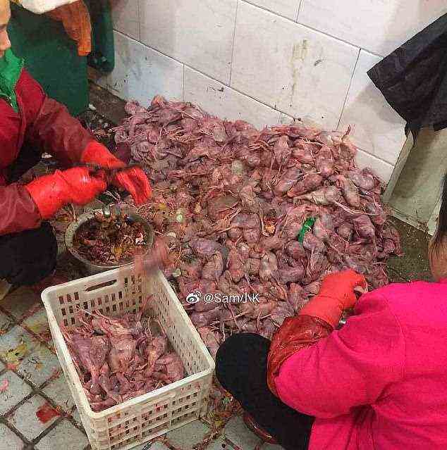 Enthäutete Küken auf dem Markt, wo lebende Tiere in engen Käfigen gehalten wurden und auf Bestellung geschlachtet werden konnten
