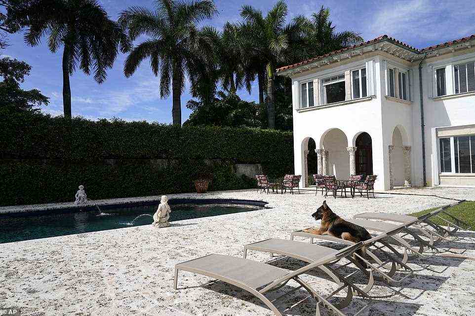 Carla Riccitelli is one of Gunther's main caretakers and is on a board that manages the trust now worth almost $500 million, deciding when to buy and sell real estate (pictured, Gunther relaxing by the pool)