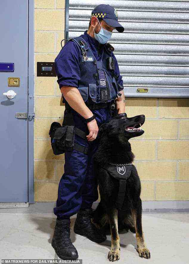 A multiple-purpose dog whose skills include detecting the lithium in mobile phone batteries is pictured with his handler at Supermax