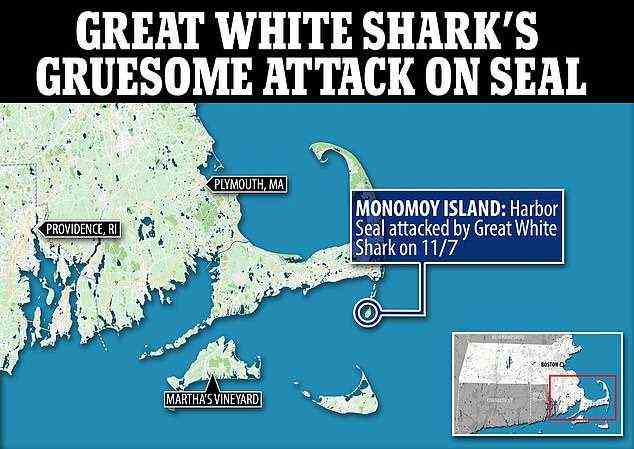 Der blutige Angriff ereignete sich in der Nähe der Südspitze von Monomoy Island, einem 13 Kilometer langen Sandstreifen, der von Chatham, Massachusetts, südwestlich verläuft
