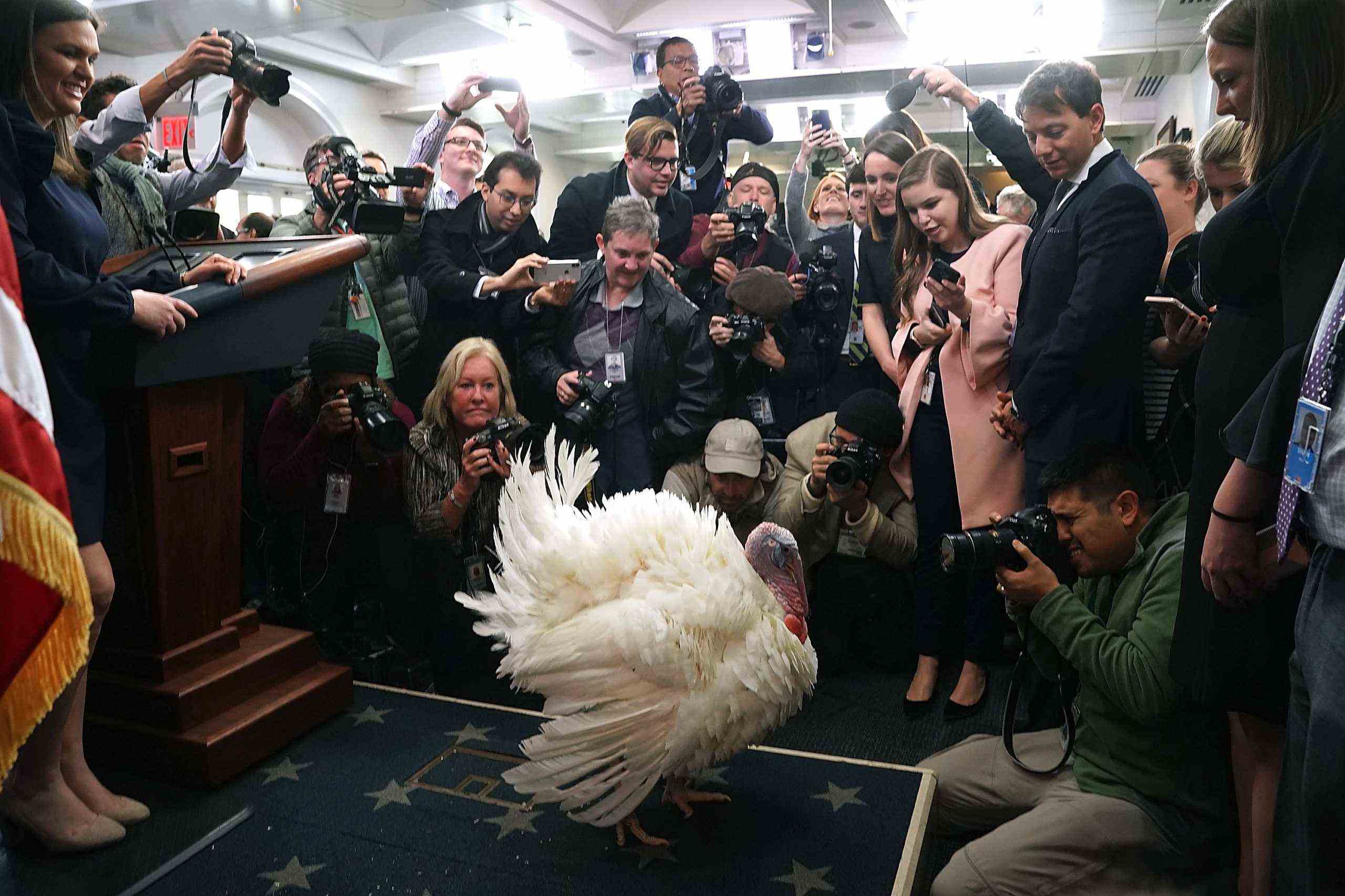 Präsident-Donald-Trump-Turkey-Pardon-Thanksgiving