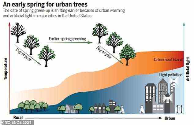 Die neue Studie zeigt, dass sich der Zeitpunkt der „Frühlingsgrünung“ in US-Städten im Vergleich zu ländlichen Gebieten aufgrund der künstlichen Beleuchtung verändert