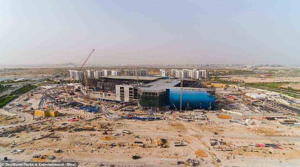 Der oben abgebildete erste SeaWorld-Park ohne Killerwale steht in Abu Dhabi kurz vor der Fertigstellung