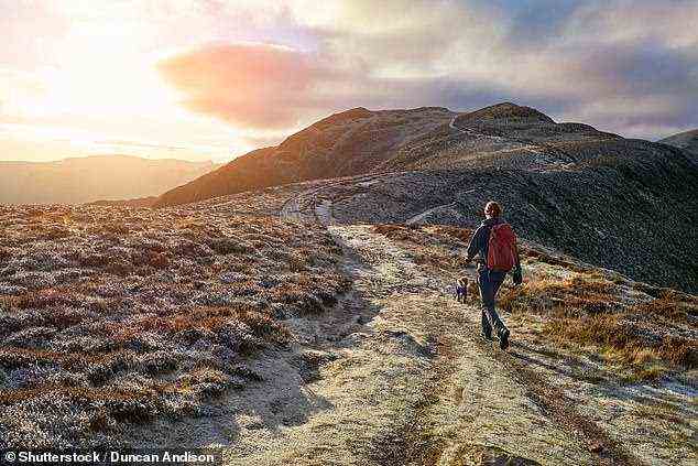 Ein Wanderer wandert entlang der Derwent Fells im Lake District.  