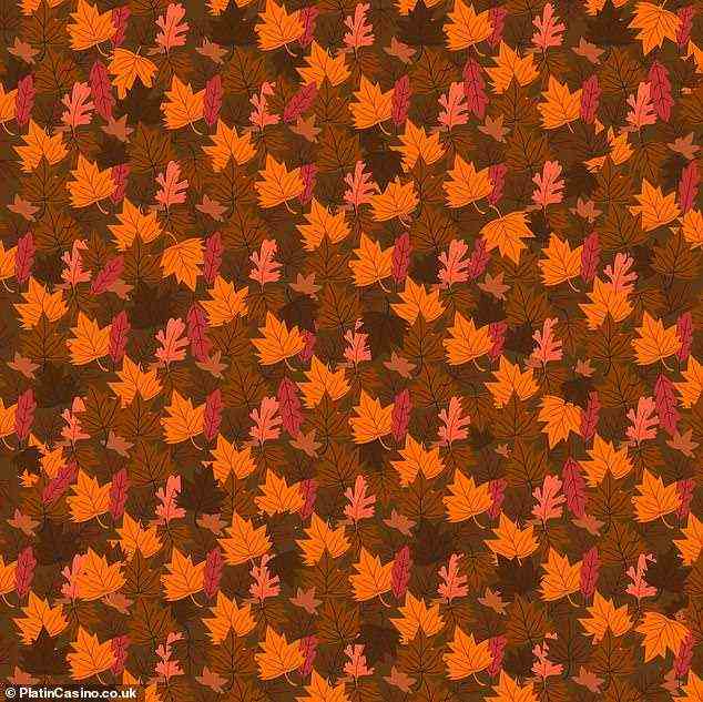 British Online gaming site, PlatinCasino.co.uk have put together this autumnal brainteaser. Do you think you can spot the hedgehog hiding among the autumn leaves?
