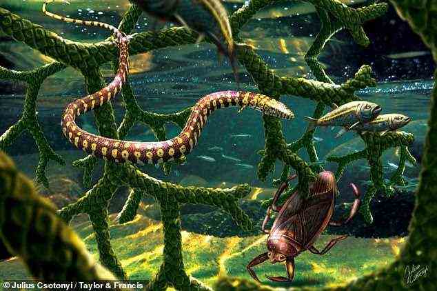 Eine 2015 entdeckte vierbeinige Schlange ist keine Schlange, sondern eine Meeresechse mit langem Körper