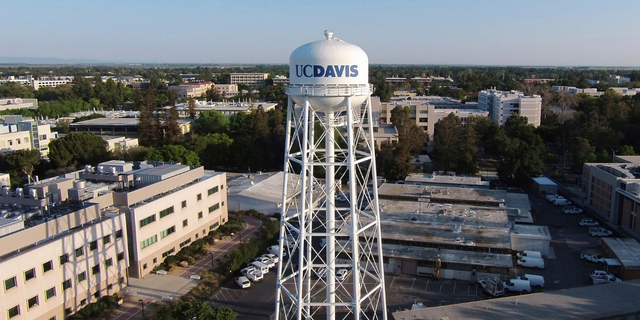 Dieses von der University of California, Davis zur Verfügung gestellte Foto zeigt den Universitätscampus in Davis, Kalifornien, am 3. April 2015. (Chris Di Dio/University of California, Davis via AP)