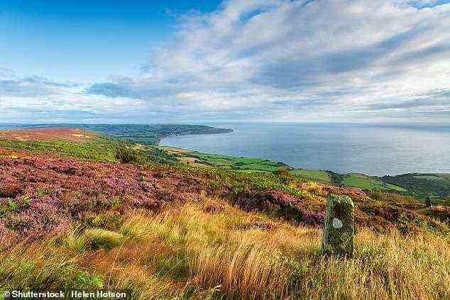 Entlang einer 56-Meilen-Strecke der Küste von Cumbria soll ein Gemeinschaftswald gepflanzt werden, um die globale Erwärmung zu bekämpfen (stockfoto)