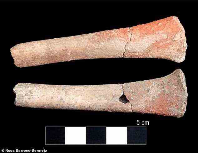 In menschlichen Knochen wurden ungewöhnlich hohe Quecksilberkonzentrationen gefunden, die 5000 Jahre alt sind und laut Experten der älteste Beweis für eine Quecksilbervergiftung sind