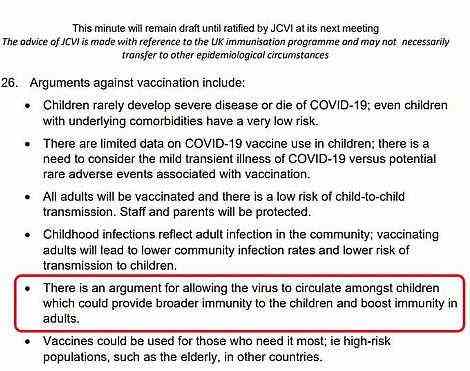 Newly-published minutes from JCVI meetings show that the group first looked at whether letting 12 to 15-year-olds catch Covid naturally was better than vaccinating them on May 13 (shown above). It looked at a range of reasons against vaccinating people in the age group, which included the argument that natural infection might be better and less risky