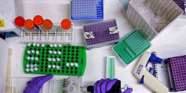 Wissenschaftler bereitet Proteinproben für die Analyse in einem Labor des Instituts für Krebsforschung in Sutton vor.