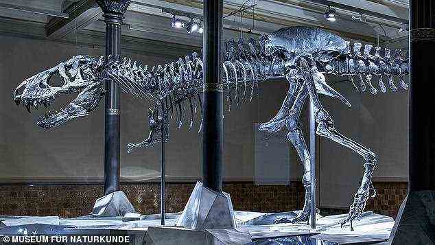Der Dinosaurier, der eines von nur zwei originalen T.Rex-Skeletten in Europa ist, durchstreifte die heutigen westlichen Vereinigten Staaten während der späten Kreidezeit vor etwa 68 Millionen Jahren