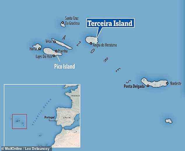 Für ihre Studie befestigten die Forscher Sensoren an sieben Delfinen vor der Küste der Insel Terceira in der portugiesischen autonomen Region Azoren und zeichneten Daten von 226 Tauchgängen auf
